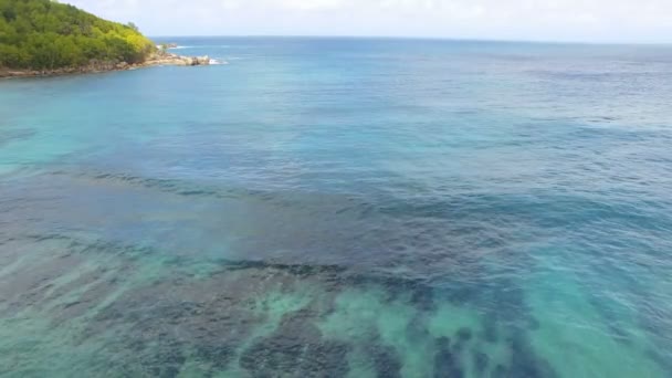 Flygfoto över havet och palmer 1, Anse Takamaka Bay 3, Seychellerna — Stockvideo