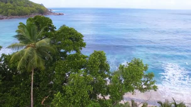 Luchtfoto van de Oceaan en palmen 2, Anse Takamaka Bay 3, Seychellen — Stockvideo