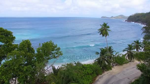 Vue Aérienne Des Mouettes Sur L'océan, Baie D'anse Takamaka, Seychelles 