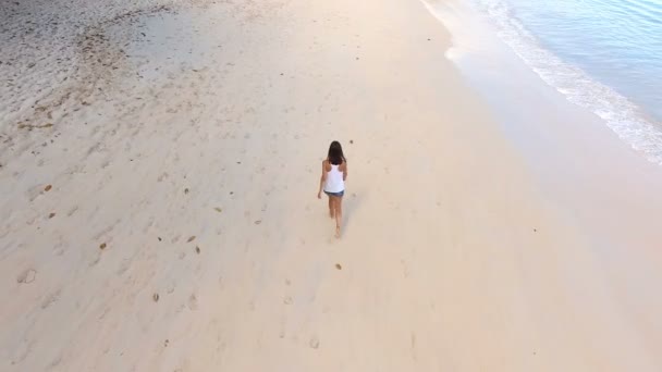 Vista Aérea Una Hermosa Chica Caminando Por Playa Beau Vallon — Vídeos de Stock