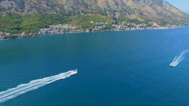 Flygfoto Över Hastighet Båtar Boka Kotorska Bukten Montenegro — Stockvideo