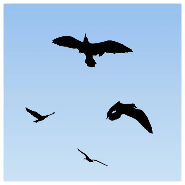 Silhouette of flying birds. — Stock Vector
