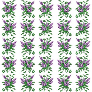 Görüntü desen. Renkli buket çiçek.