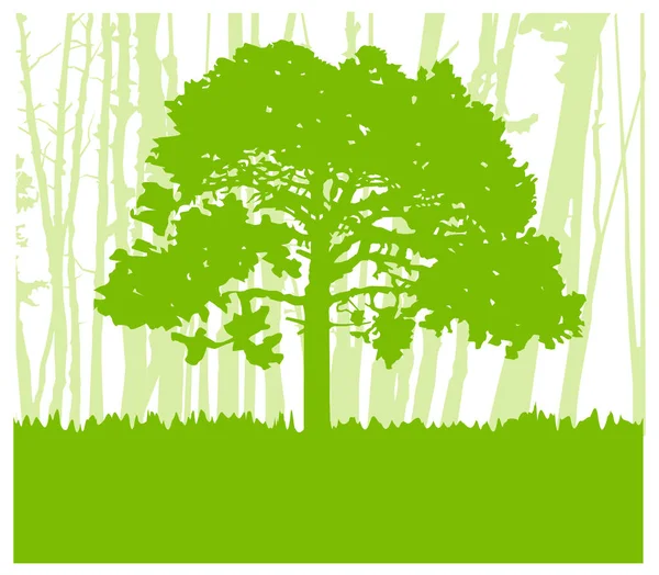 Woodland eco transparent. — Wektor stockowy