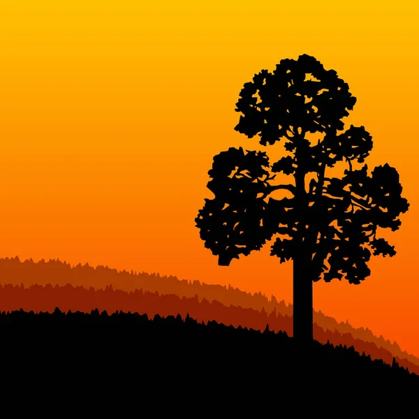 Banner ecológico Woodland . — Vector de stock