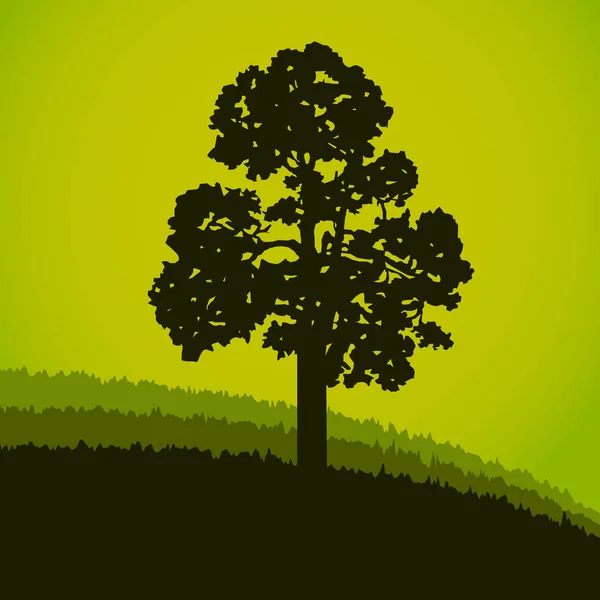Bannière Woodland eco . — Image vectorielle