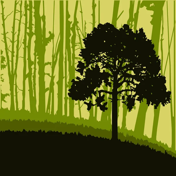 Woodland eco banner. — Stockový vektor