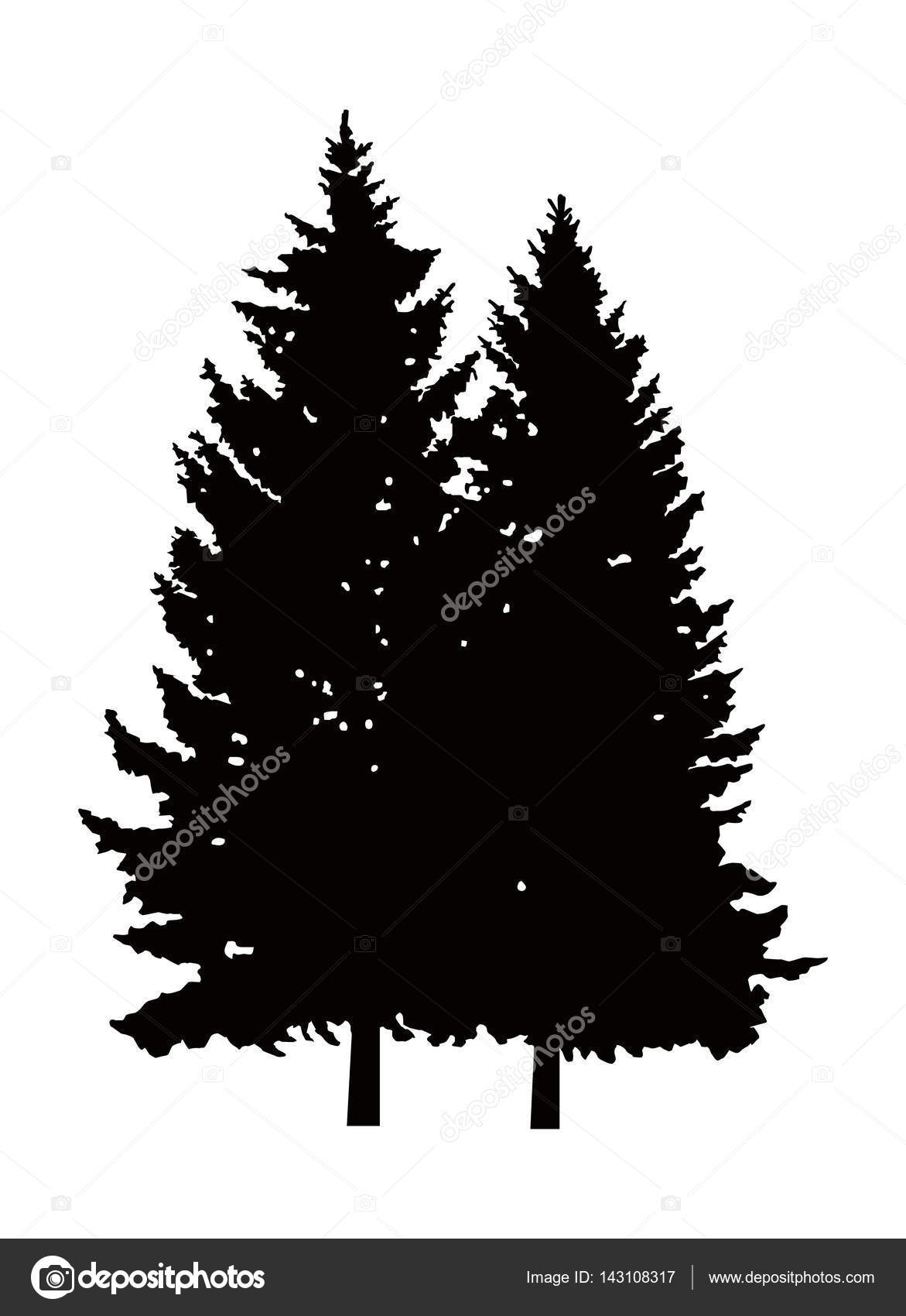松树的剪影. 图库矢量图©YIK2007 143108317, image size:1171x1700