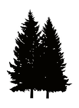 çam ağacı silüeti.