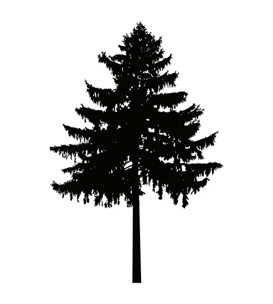 Silhouette of pine tree. — Stock Vector