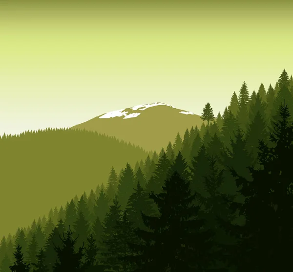 Panorama van de bergen. — Stockvector