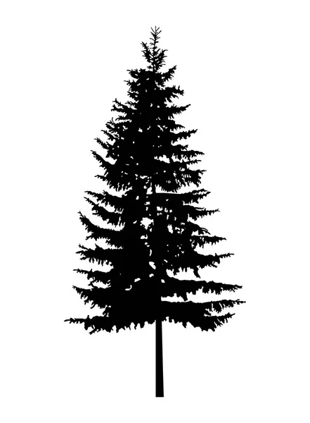 Silhouette of pine tree. — Stock Vector