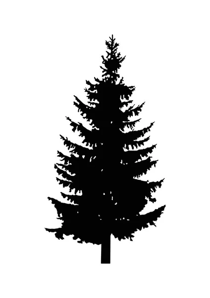 松の木のシルエット. — ストックベクタ