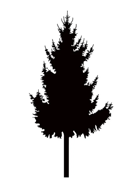 松の木のシルエット. — ストックベクタ