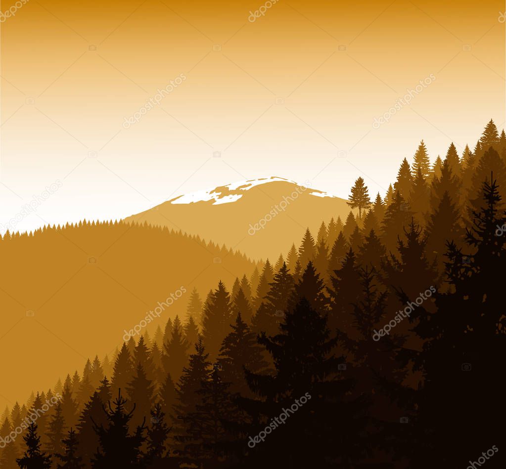 Panorama of mountains. Silhouette of mountains with snow and coniferous trees. Golden autumn. Can be used as eco banner.