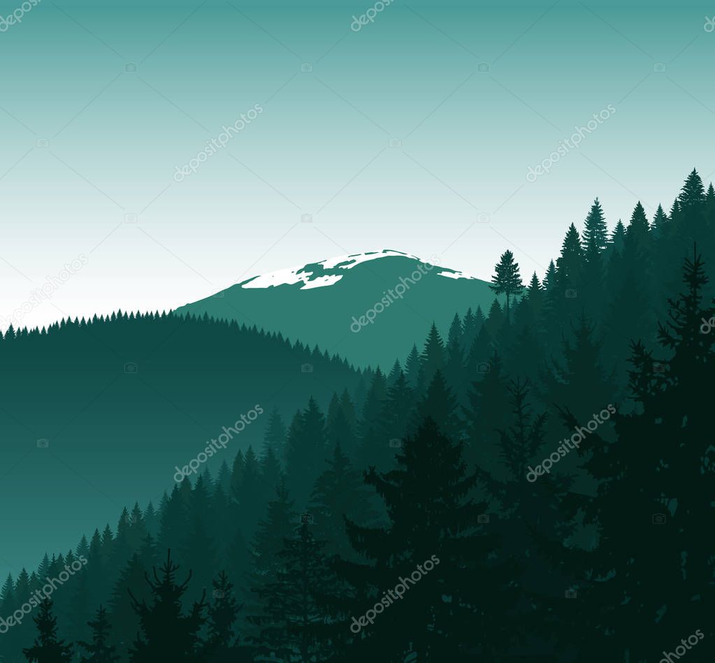Panorama of mountains. Silhouette of mountains with snow and coniferous trees. Green tones. Can be used as eco banner.