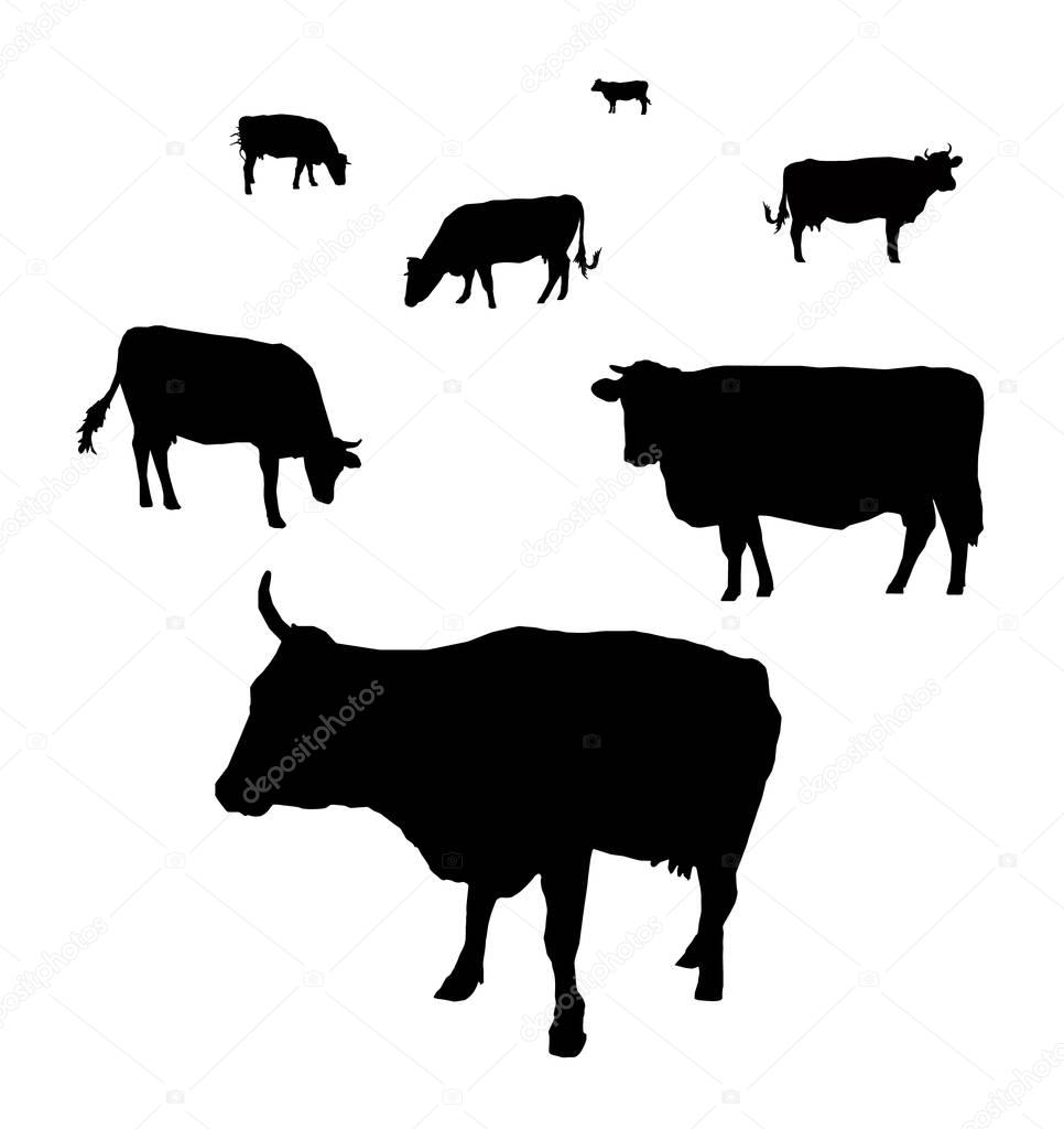 Download Silhouette of cows — Stock Vector © YIK2007 #143259759
