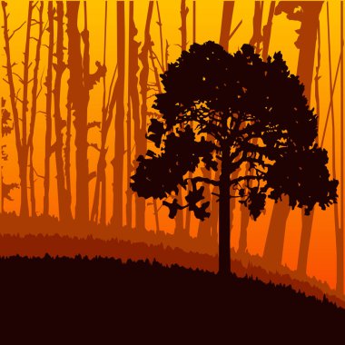  Woodland Eko afiş.