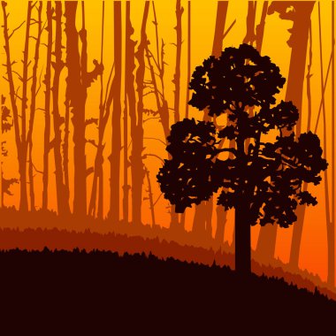  Woodland Eko afiş.
