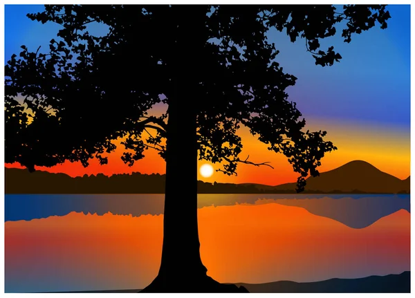 Image landscape. Silhouette of tree