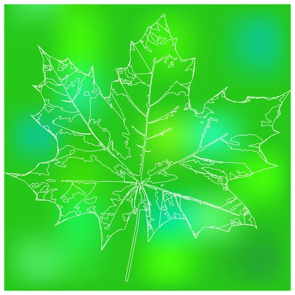 Badge van maple leaf. — Stockfoto