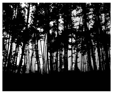  Woodland Eko afiş.