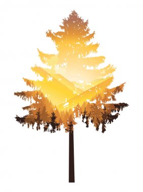 iğne yapraklı ağaç silüeti