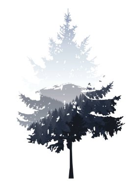 iğne yapraklı ağaç silüeti