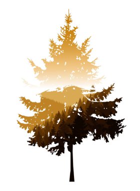 iğne yapraklı ağaç silüeti