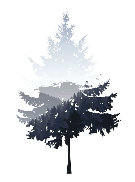 Silhueta de árvore conífera — Fotografia de Stock