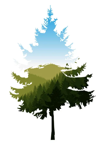 Siluet pohon konifer — Stok Foto