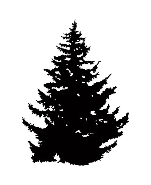 Silhouette of pine tree. — Stock Photo, Image