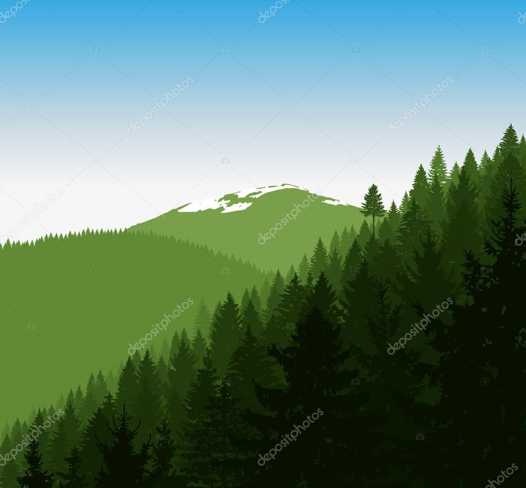 Panorama of mountains. Silhouette of green mountains with snow and coniferous trees on the background of blue sky.  Can be used as eco banner.