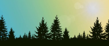 İğne yapraklı ağaçlar silüeti