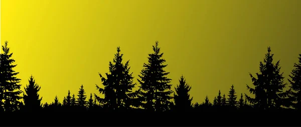 Silhouet van coniferen — Stockfoto