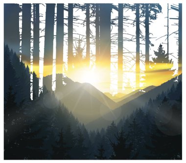 Soyut doğa arkaplanı