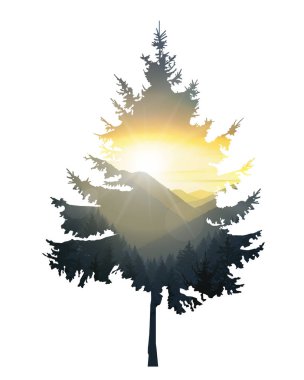 çam ağacı silüeti 