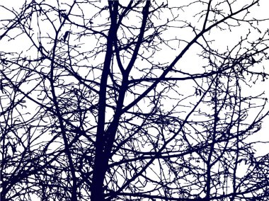 Resmi doğa arka planı. 