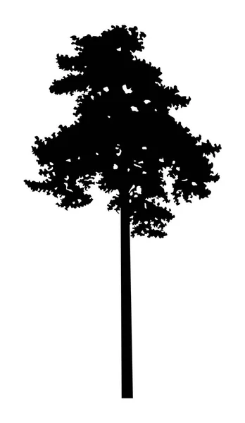 Ağaç silueti — Stok fotoğraf