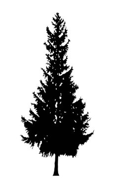 Ağaç silueti
