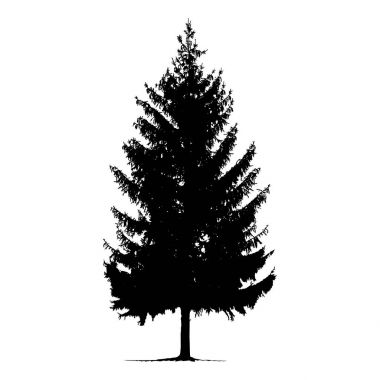 çam ağacı silüeti. 
