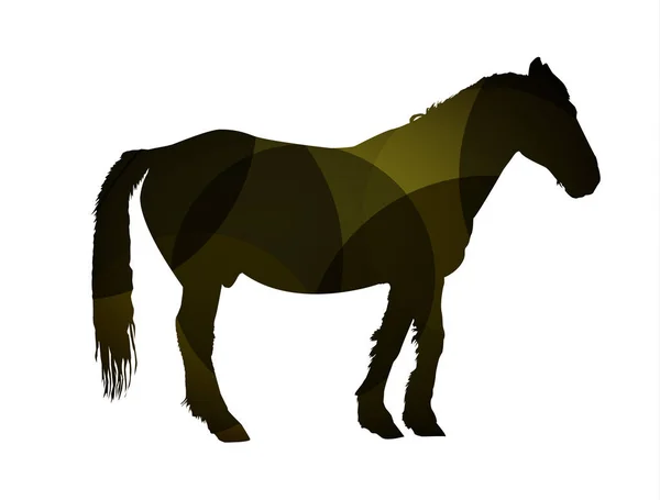Silhueta de Cavalo — Fotografia de Stock