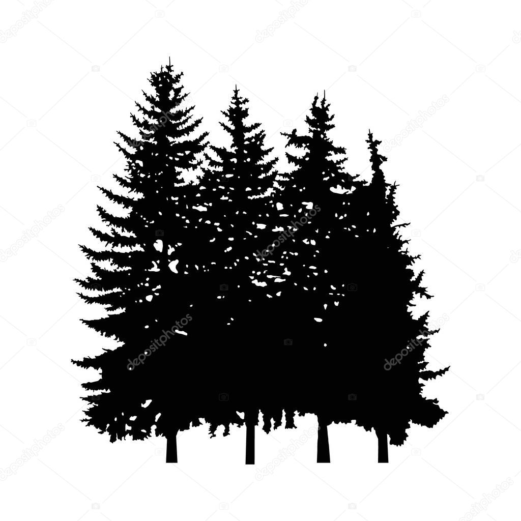 Silhouette of four pine trees — Stock Photo © YIK2007 #150186824