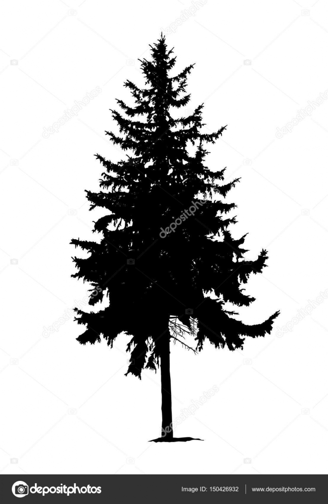 Download Silhouette of pine tree — Stock Vector © YIK2007 #150426932