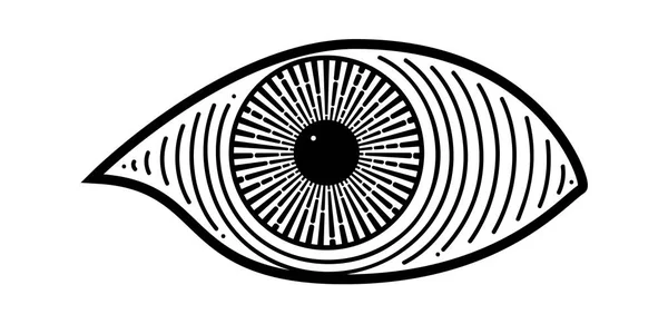 画像の目のアイコン — ストックベクタ