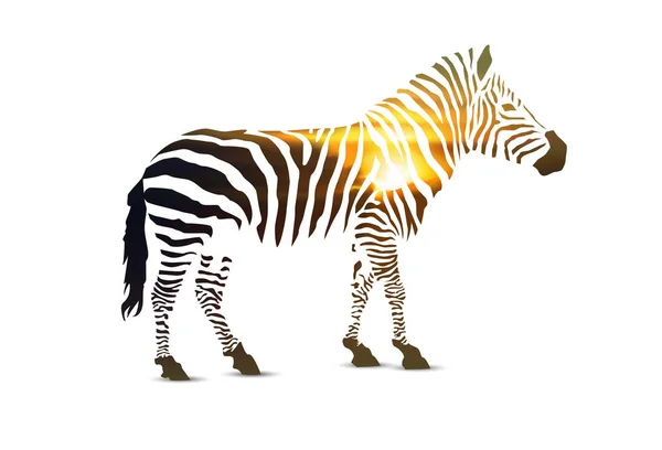 Silhouette von Zebra. — Stockvektor