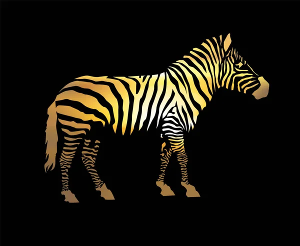 Sziluettjét Zebra. — Stock Vector