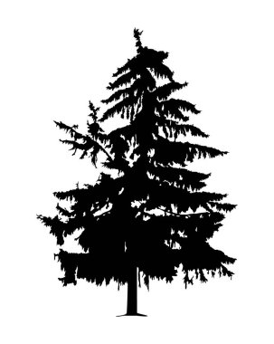 Etkilenen silüeti radyoaktif çam ağacı