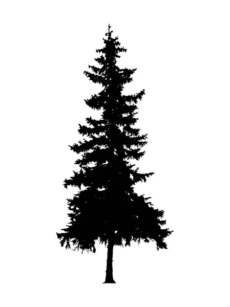 çam ağacı silüeti