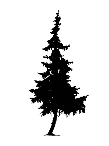 松树的剪影 — 图库矢量图片